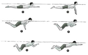 Cách bơi ếch chuẩn kỹ thuật: Hướng dẫn chi tiết từ cơ bản đến nâng cao