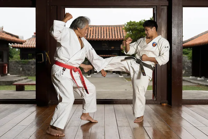 Karate là môn võ Nhật Bản kết hợp kỹ thuật tấn công, phòng thủ và rèn luyện tinh thần kỷ luật.