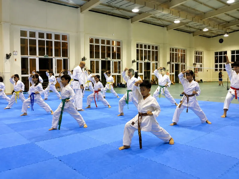 Karate là môn võ phù hợp cho nhiều độ tuổi nếu được hướng dẫn đúng phương pháp và môi trường an toàn.